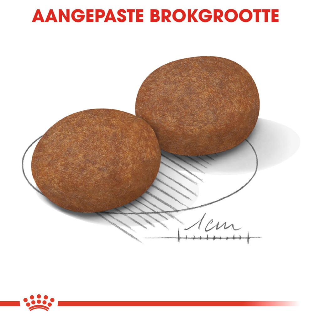 SHN Medium Adult 7+ 15kg