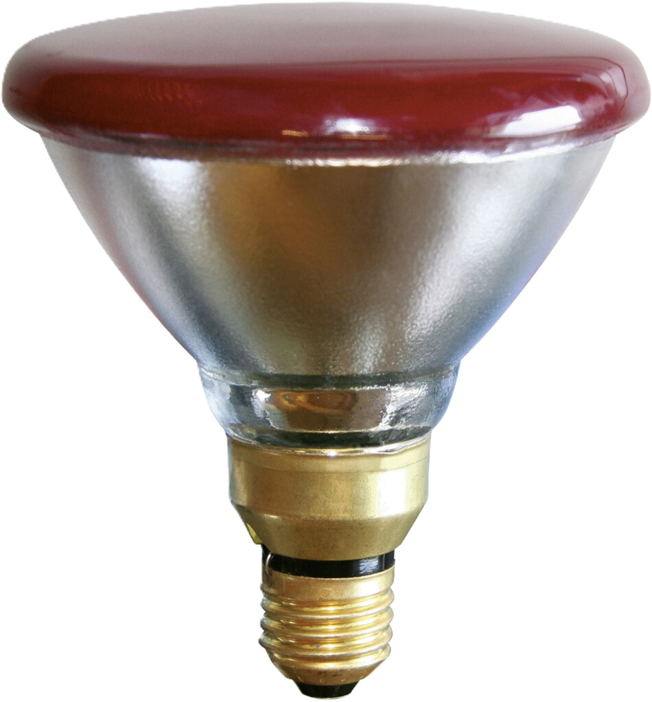 Spaarlamp PAR38 100W rood