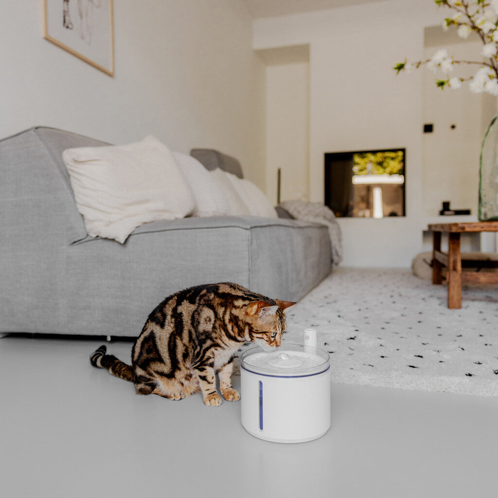 FLOW - Draadloze drinkfontein - Wit - Superstil - Met bewegingssensor - 2,2 liter inhoud