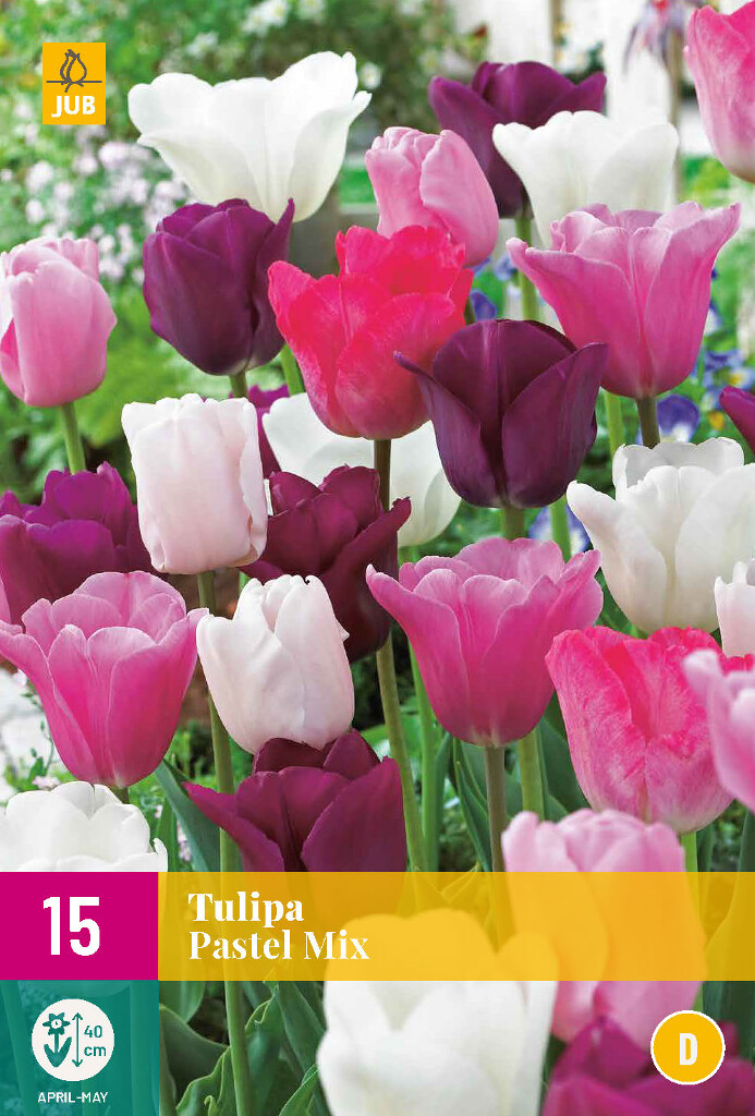 Tulipa Pastel Mix Tulipa Pastel Mix