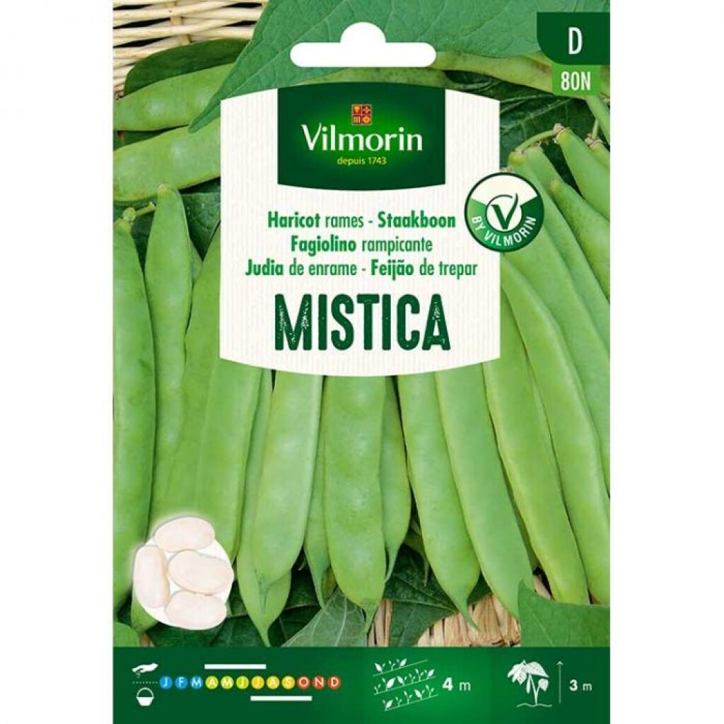 Haricot à rames Mistica 25g Haricot à rames Mistica 25g