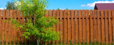 Aménagement du jardin Aménagement du jardin