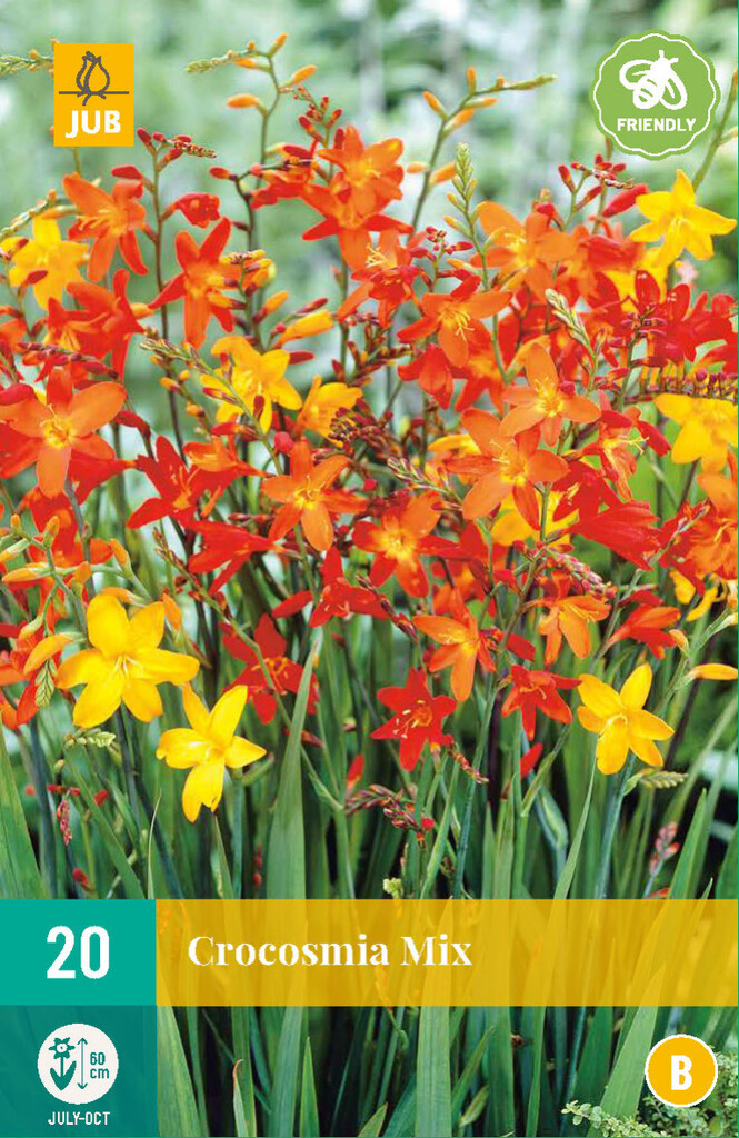 X20 Crocosmia mix