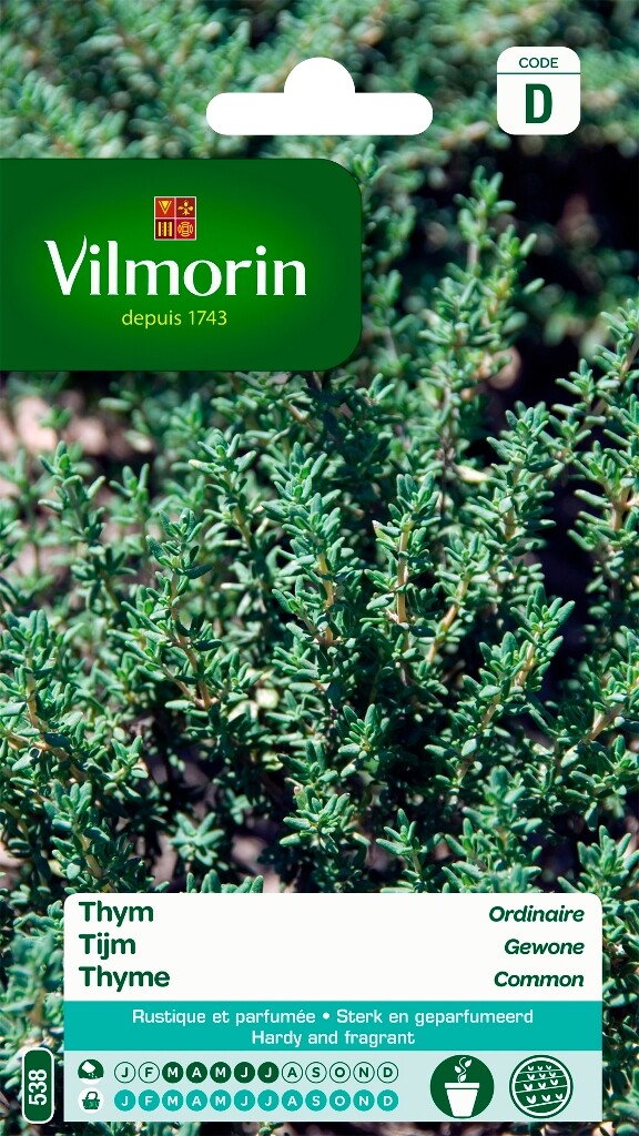 Tijm gewone Tijm gewone