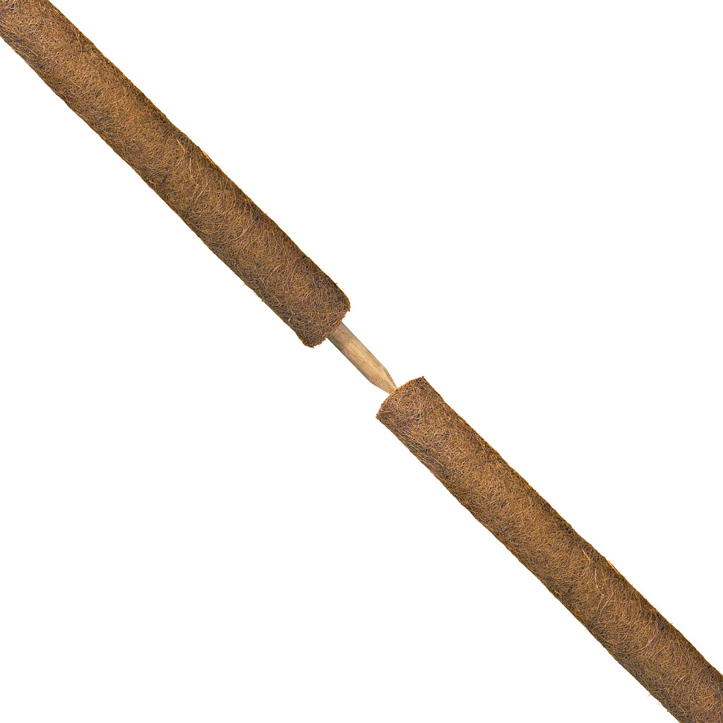 Coco plantstakes-kokosplantstokken 60cm