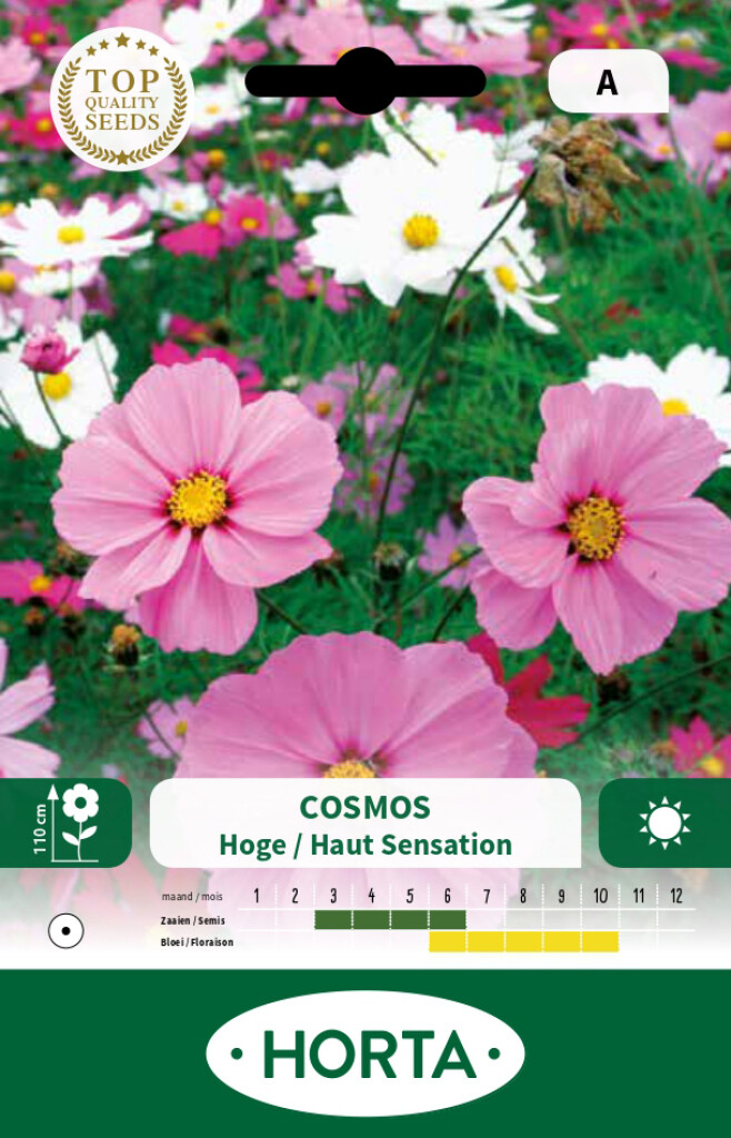 Cosmos Sensation hoge gemengd