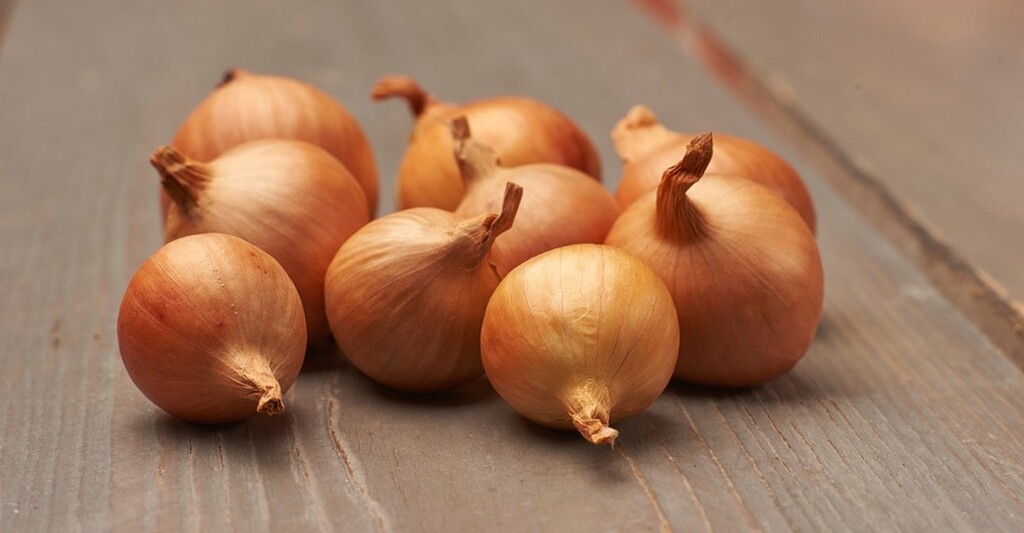 Echalote Golden Gourmet 7/15 500g