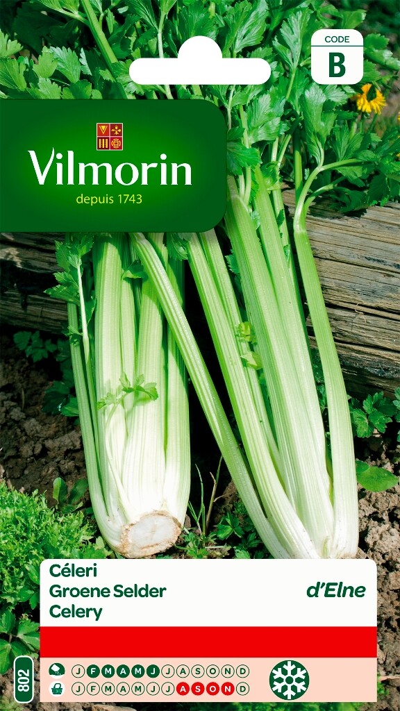 Groene selder van Elne