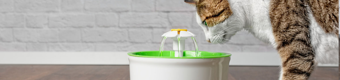 Drinkfontein voor katten Drinkfontein voor katten