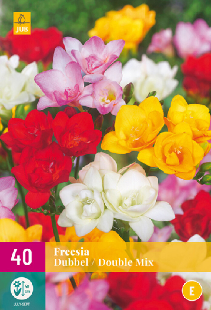 X 40 Freesia Dubbel Mix 5/+