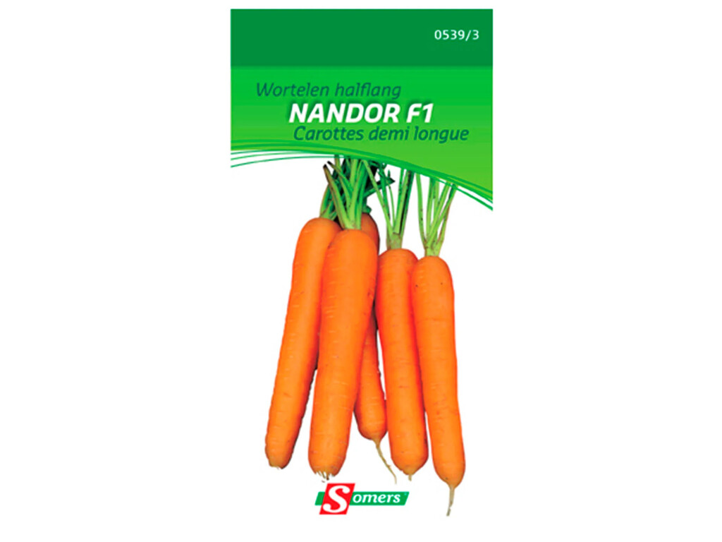Carotte Demi Longue Nandor F1