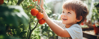 Les 3 grands avantages d'une serre 