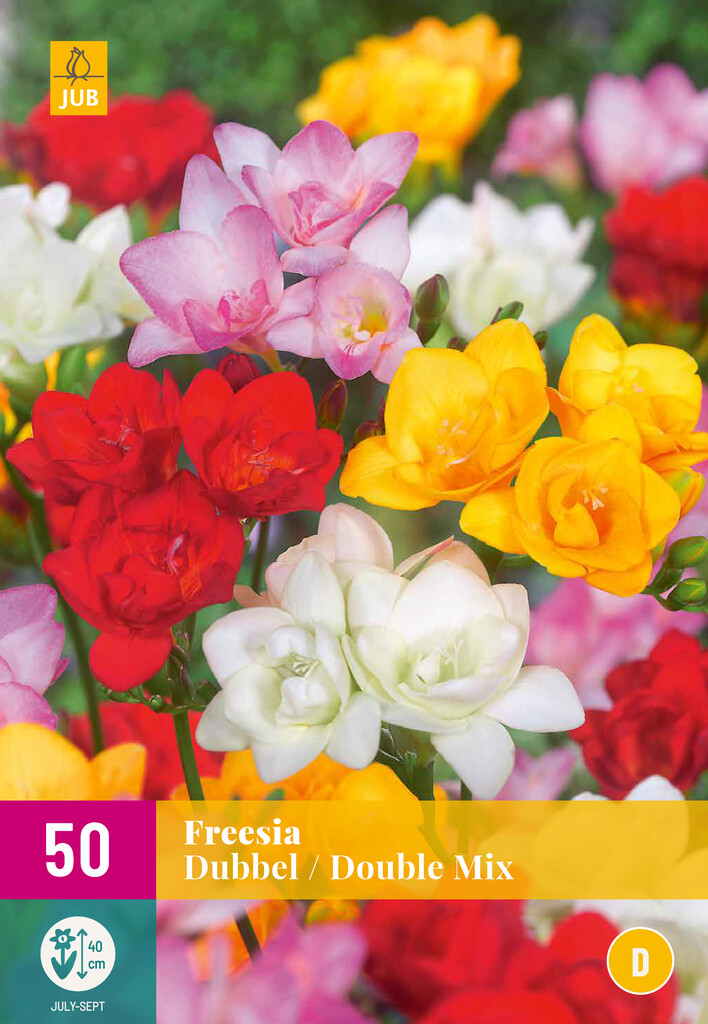 X50 Freesia Dubbel Mix