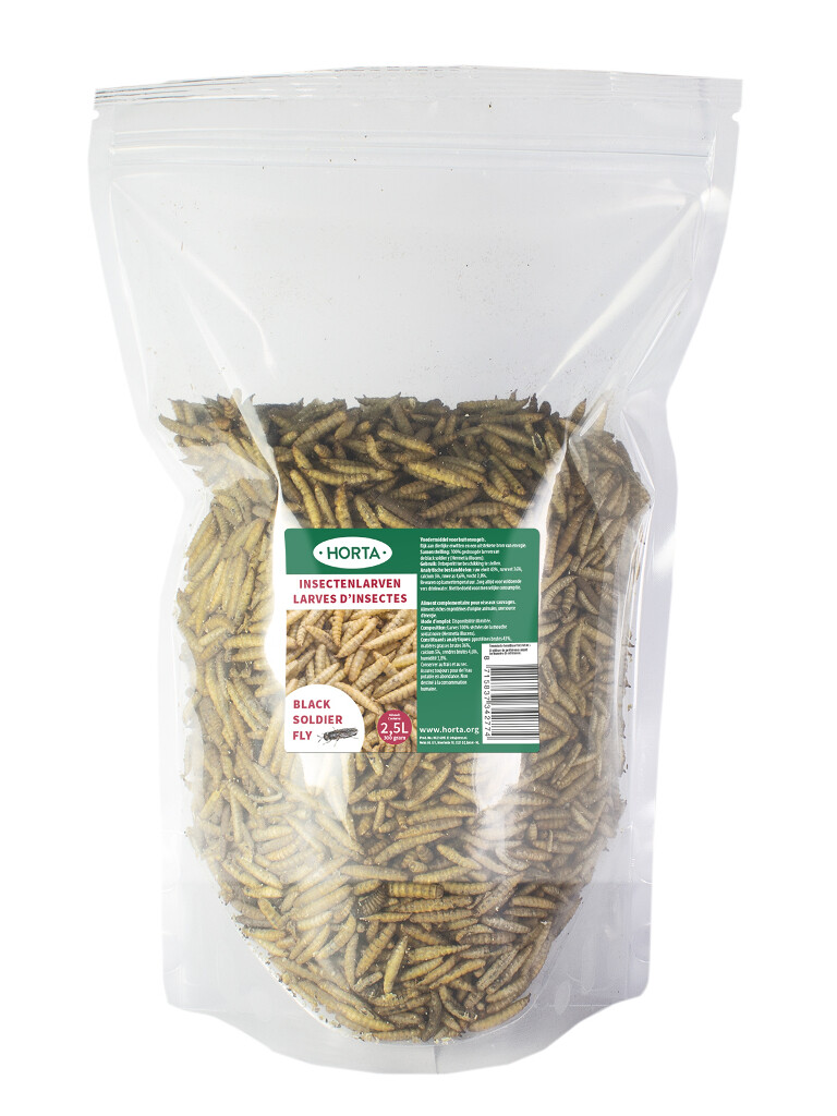 Larves d'insectes mouche soldat noir 300g
