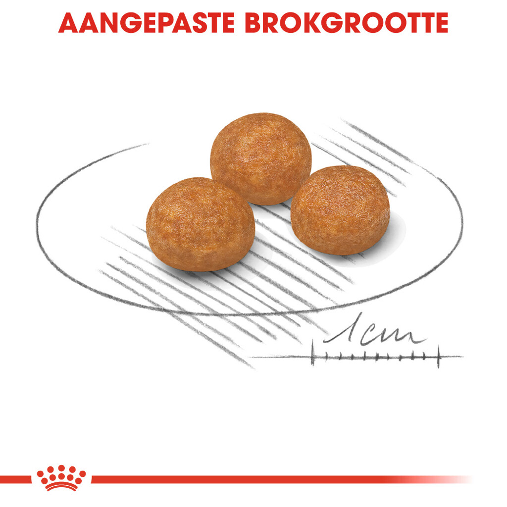 SHN X-Small Adult 1,5kg
