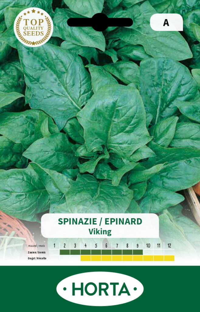 Spinazie alle seizoenen Viking