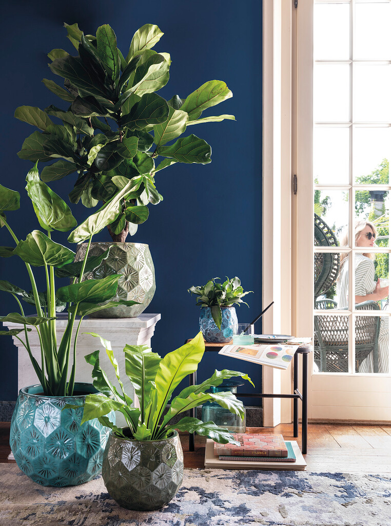 Pot de fleurs Patelle 17,5cm Pot de fleurs Patelle 17,5cm