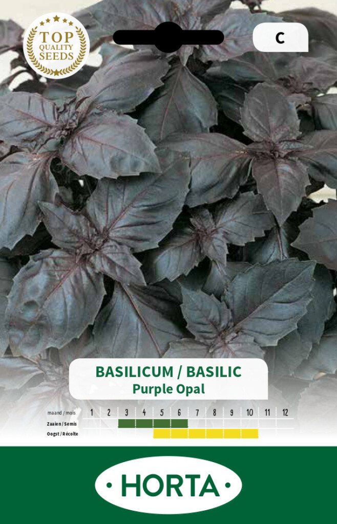 Basilicum rode Purple Opal