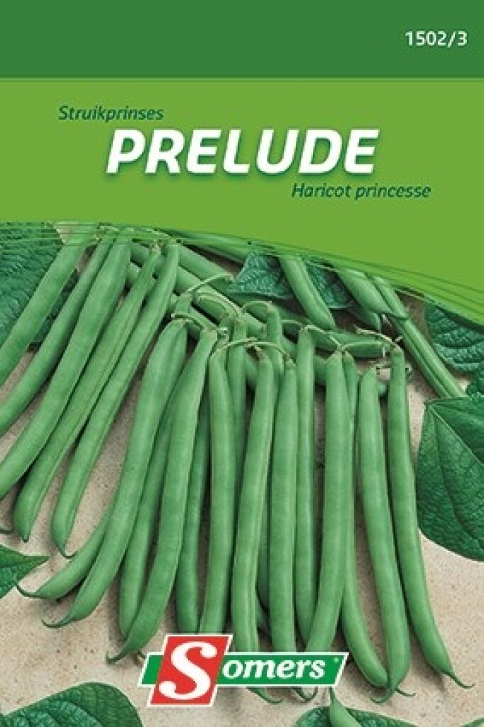 Struikprinses Prelude 130g