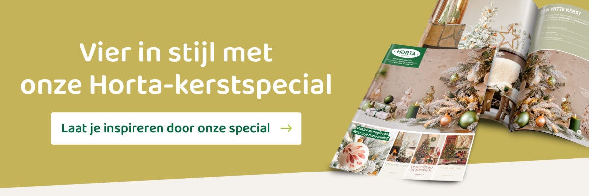 Kerstspecial Horta