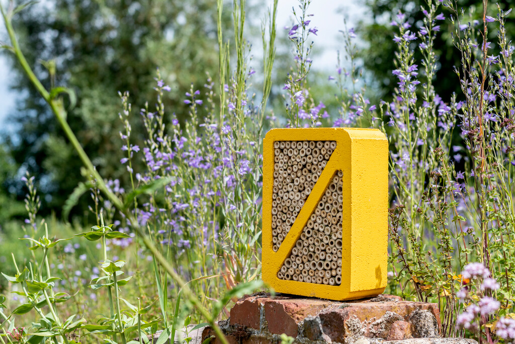 Salina insectenhotel geel