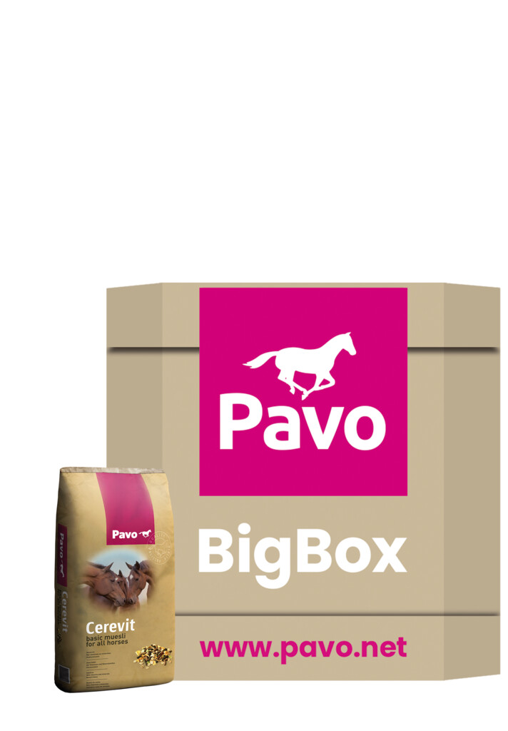 Cerevit Big Box 600kg