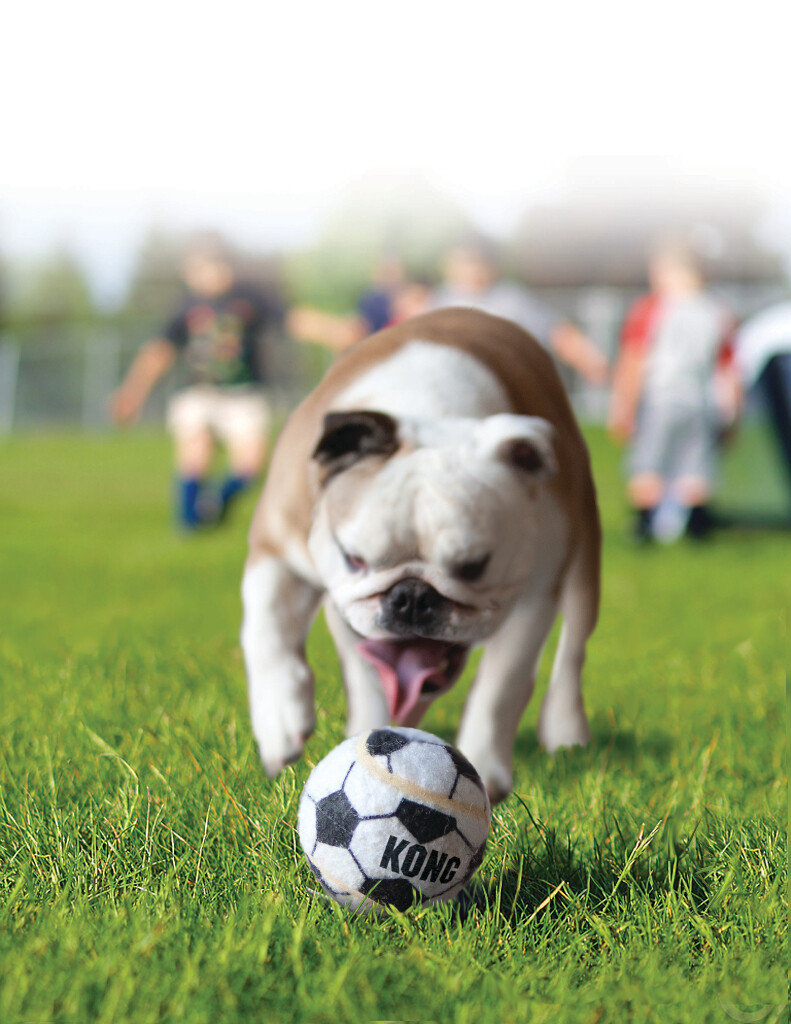 Sport Ball M (3 stuks)