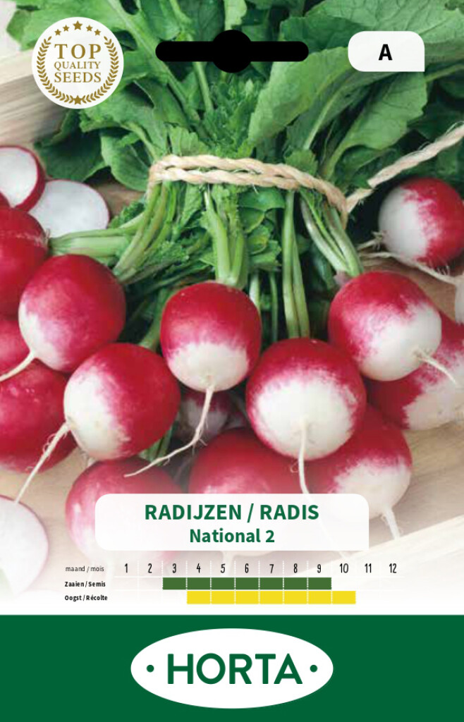 Radis National 2 à bout blanc