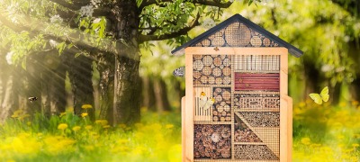 Lok bijen en vlinders met een insectenhotel Lok bijen en vlinders met een insectenhotel