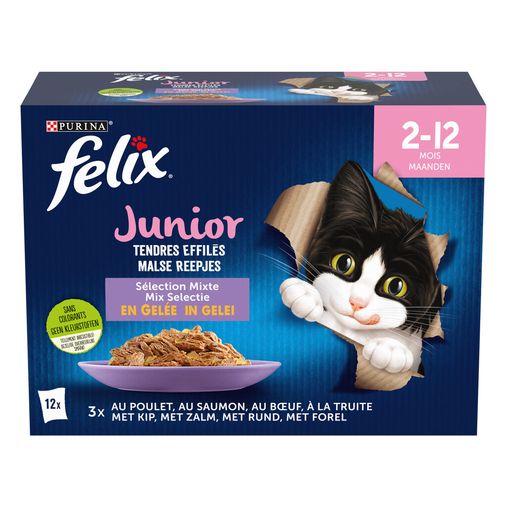 Tendres Efillés Junior 12x85gr