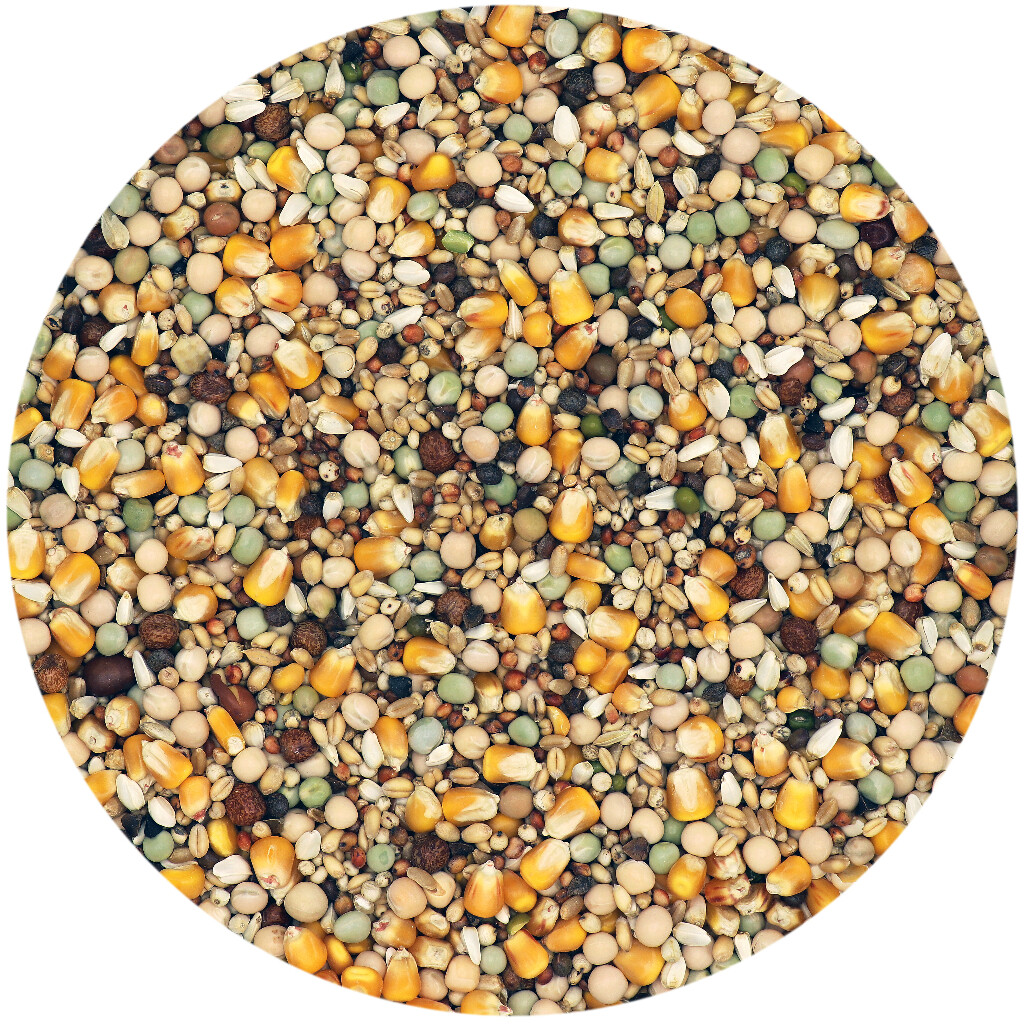 Kweek Geel Cribs 25kg