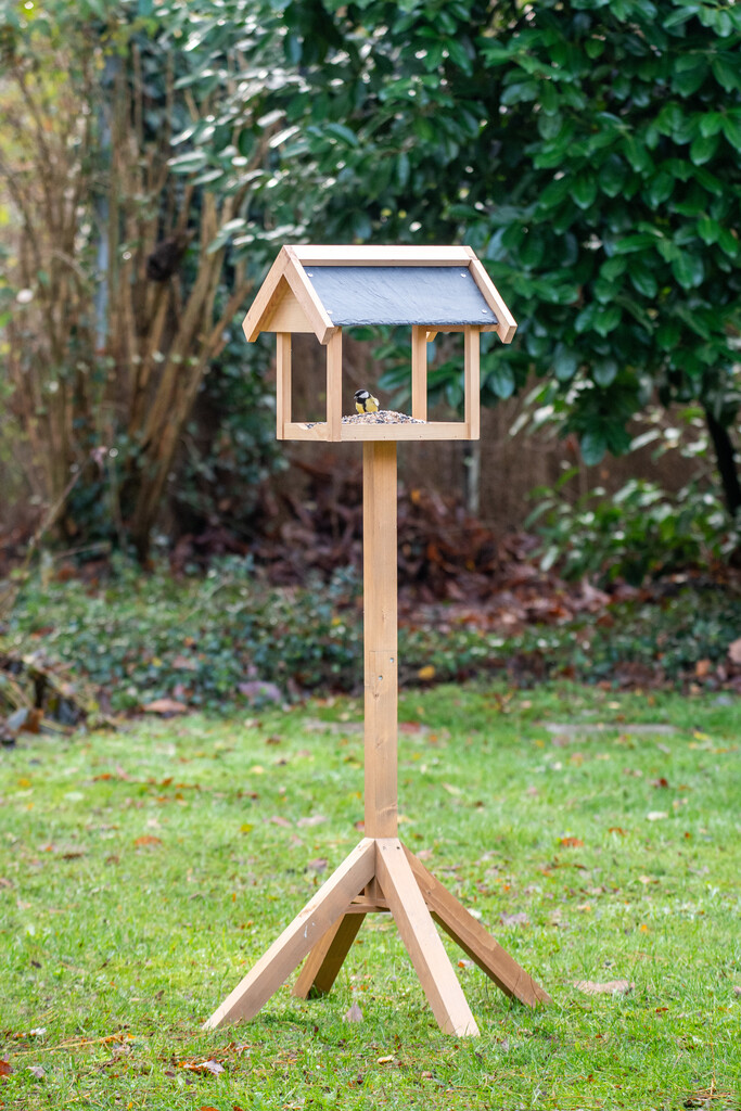 Mangeoire sur pied Georgetown