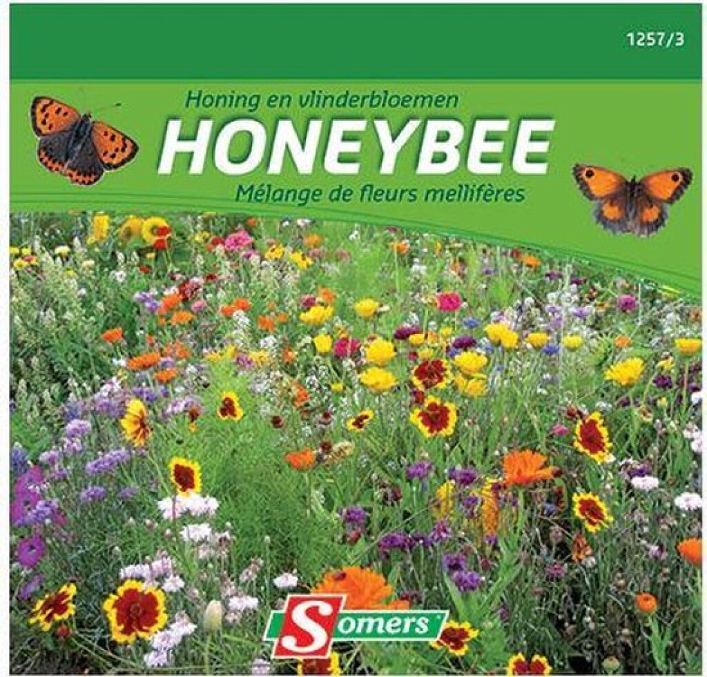 Honing en Vlinderbloemen Honeybee
