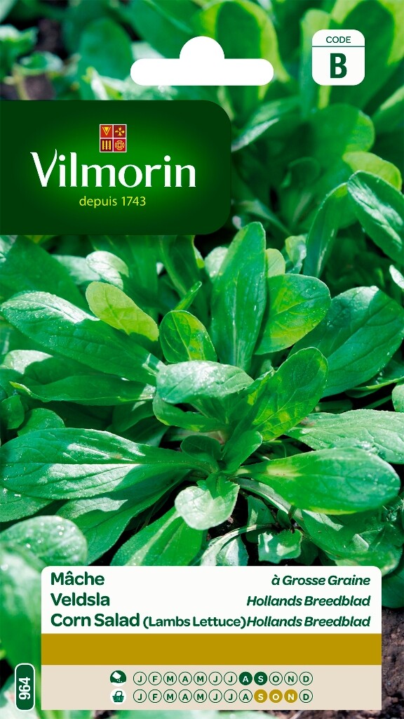Mâche à grosse graine