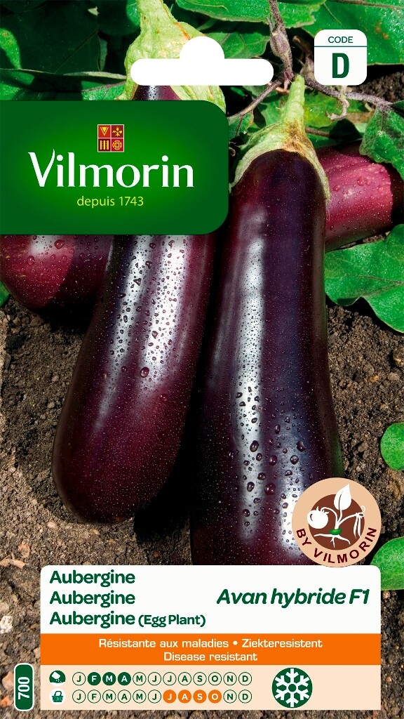 Aubergine Avan HF1 Aubergine Avan HF1