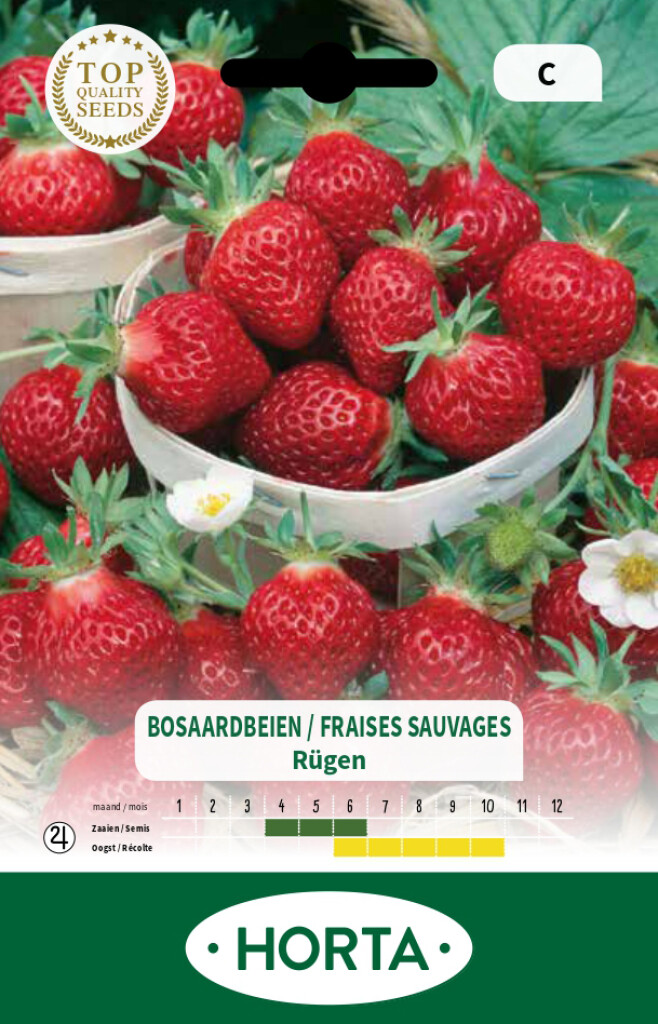 Aardbei wild Rügen