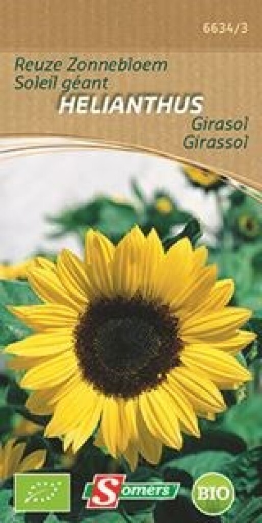 Be-Bio-02 Soleil Géant Helianthus