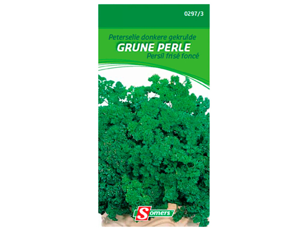 Peterselie Donkere Gekrulde Grune perle