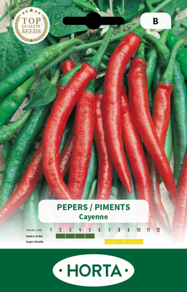 Plant Piment de Cayenne 100% bio, Plantzone maraicher