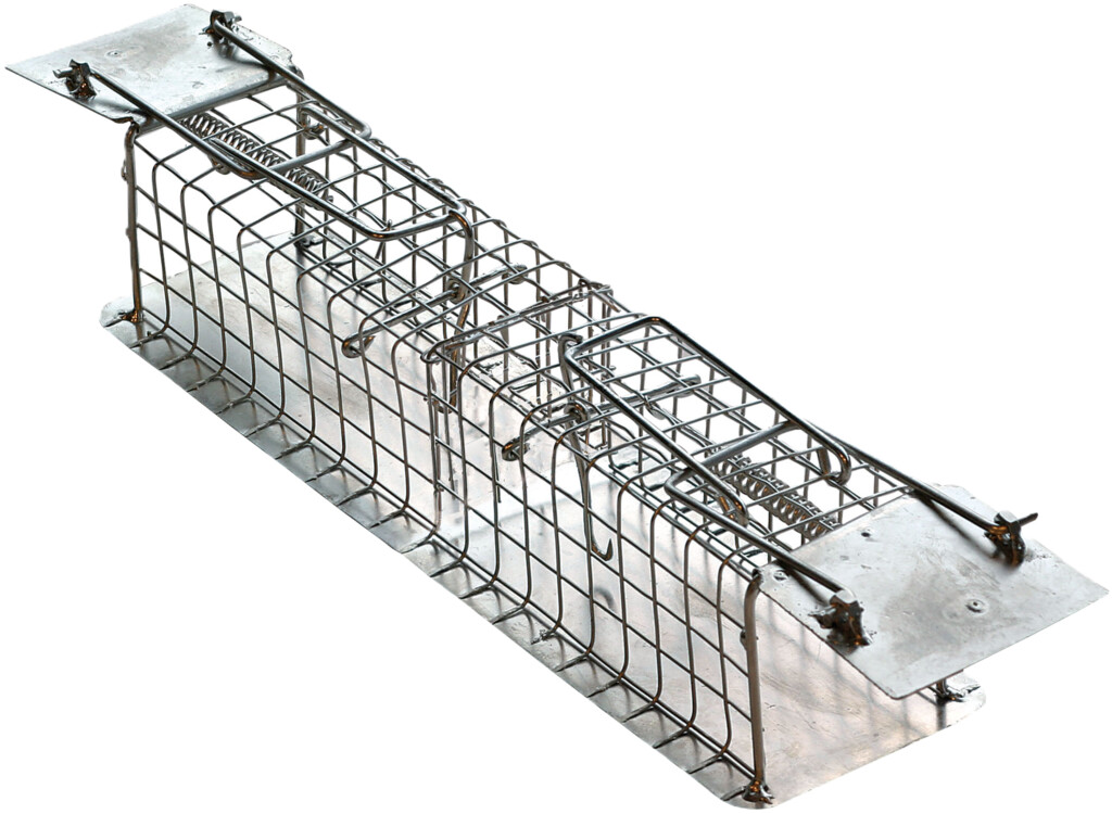 Cage à Souris 2 entrées