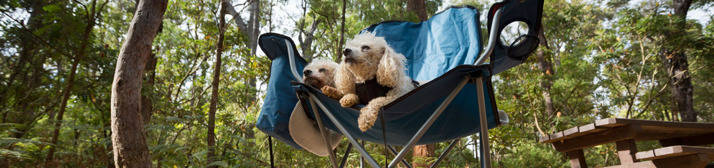 Hondencampings