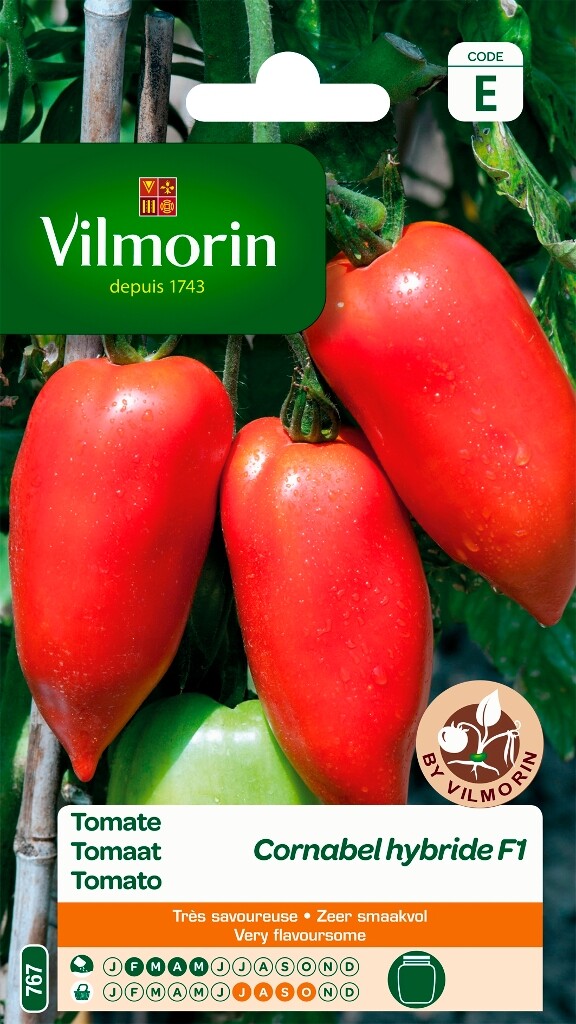 Tomaat Cornabel HF1