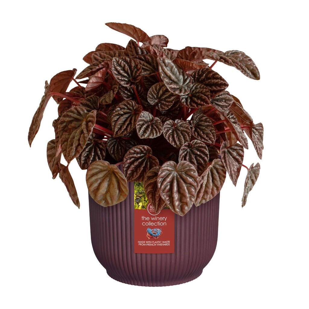 The Winery Collection Rond 14cm bordeaux rood The Winery Collection Rond 14cm bordeaux rood