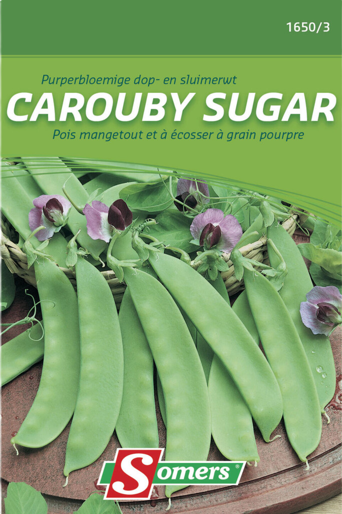 Pois mangetout et à écosser à gr pourpre Carouby sugar 160g