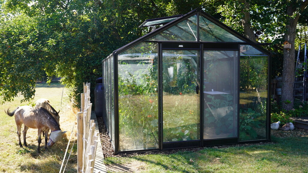 Serre R305 Blackline