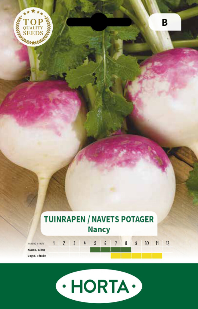 Tuinraap ronde witte roodkop Nancy