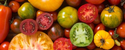 De 5 soorten tomaten De 5 soorten tomaten