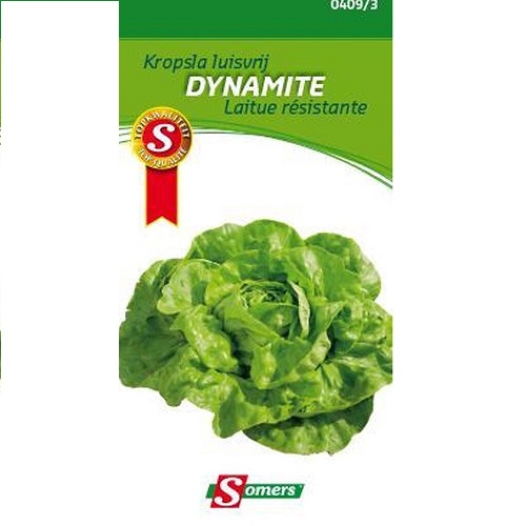 Kropsla Luisvrij Dynamite Kropsla Luisvrij Dynamite