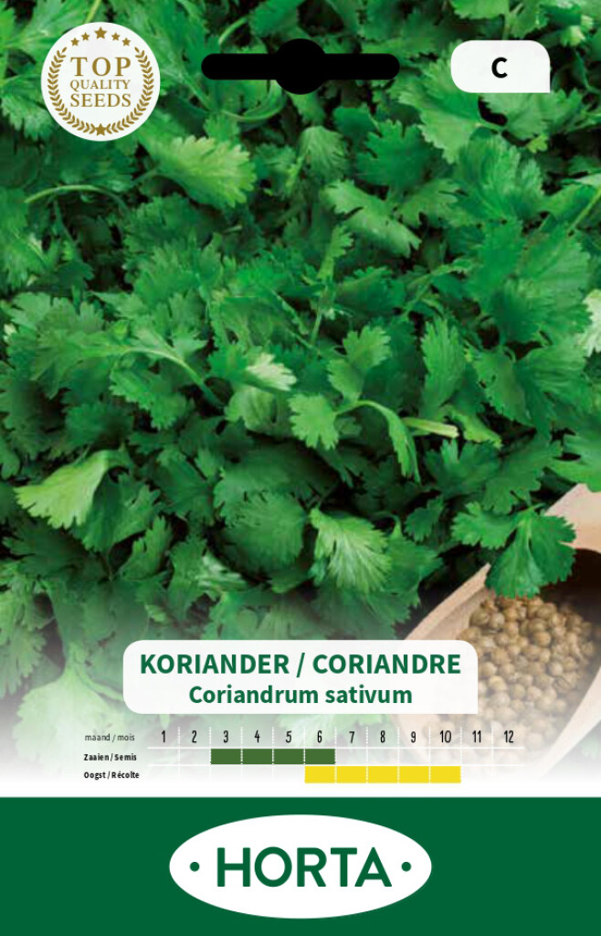 Coriandre Coriandre