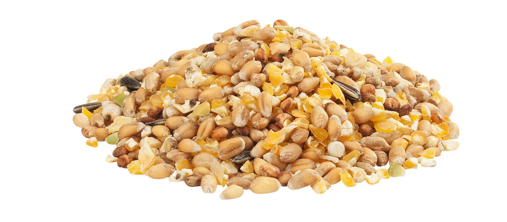 Gra-Mix Ardeens graan 4kg